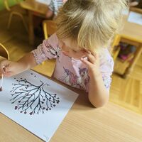 594e8594 ab46 4c51 933b fb2d620b961f