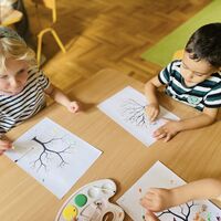 94bbb18d 95f8 4a59 83b9 2b51f6b5050b