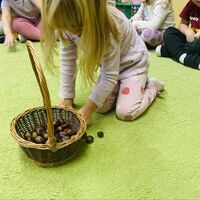 46d7d444 7b1a 4033 af8e 5c7456ae643b