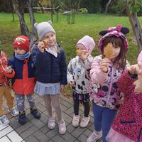 43551fde 8948 4224 8e63 22e0f6538dd2