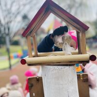 8452f054 3ab6 406e b239 9ab50f4951da