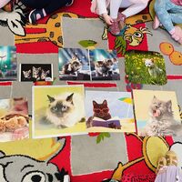 10c8a85c 5190 48af 8541 69caf1f272fd