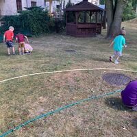 IMG 75231