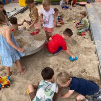 IMG 7482