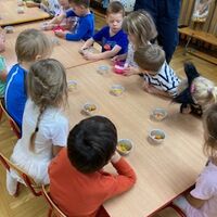 IMG 9186